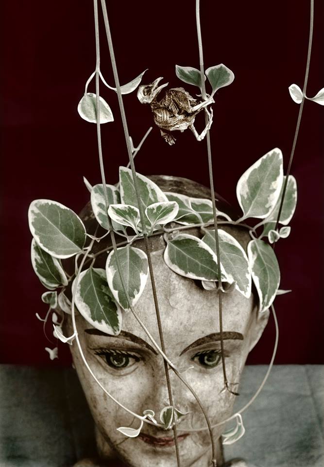 Los rastros de la memoria (Natures Mortes)